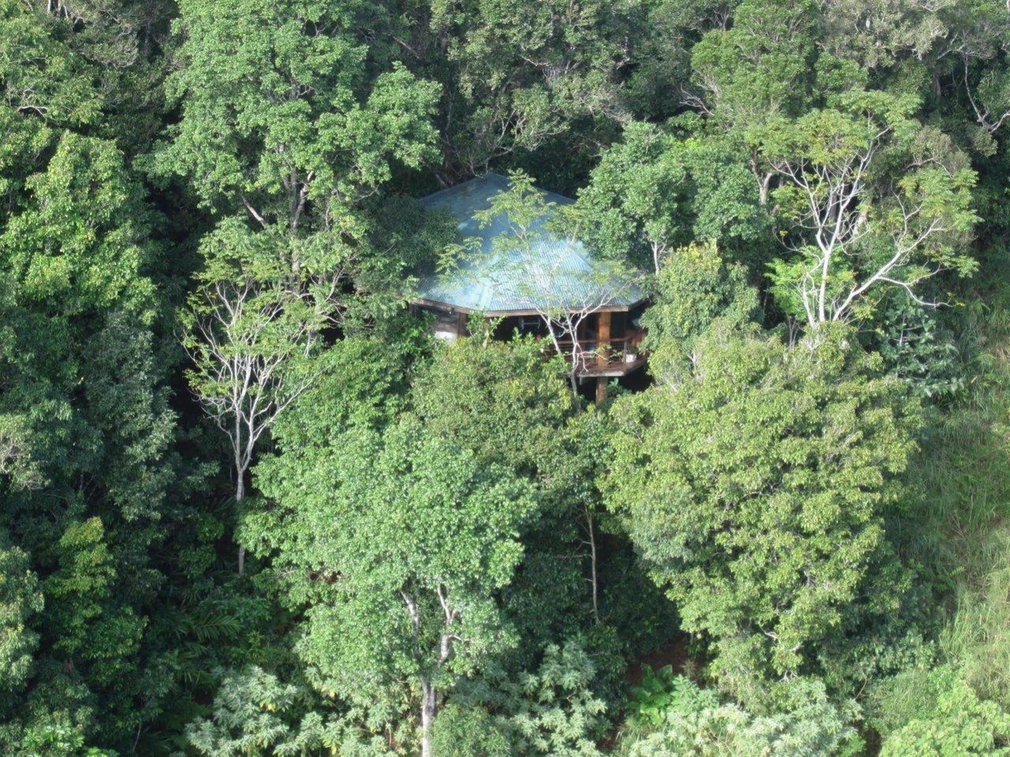 Mt Quincan Crater Retreat Yungaburra Εξωτερικό φωτογραφία