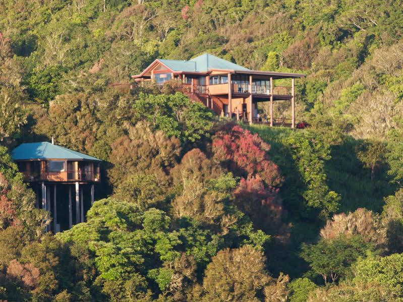 Mt Quincan Crater Retreat Yungaburra Εξωτερικό φωτογραφία