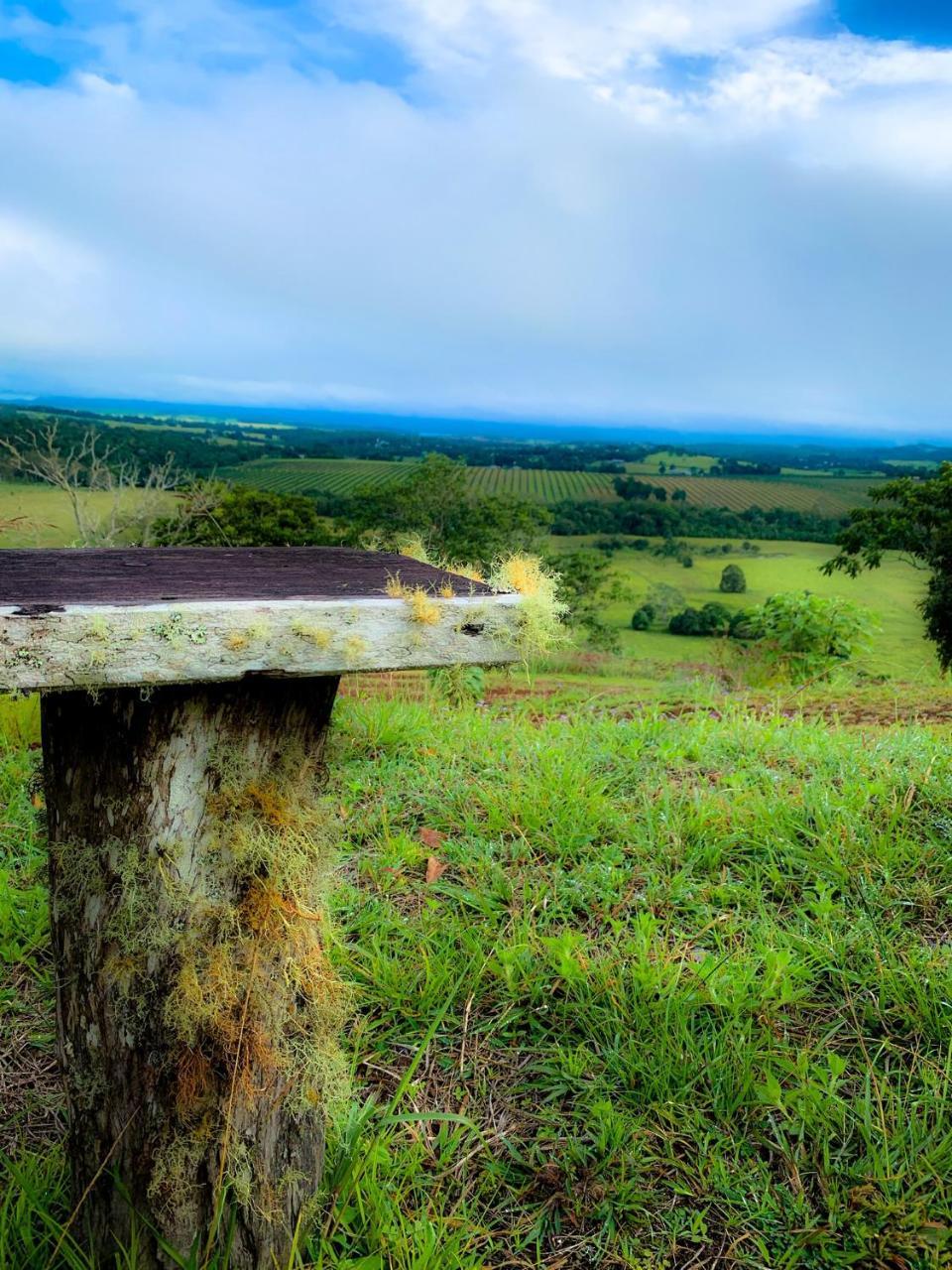 Mt Quincan Crater Retreat Yungaburra Εξωτερικό φωτογραφία